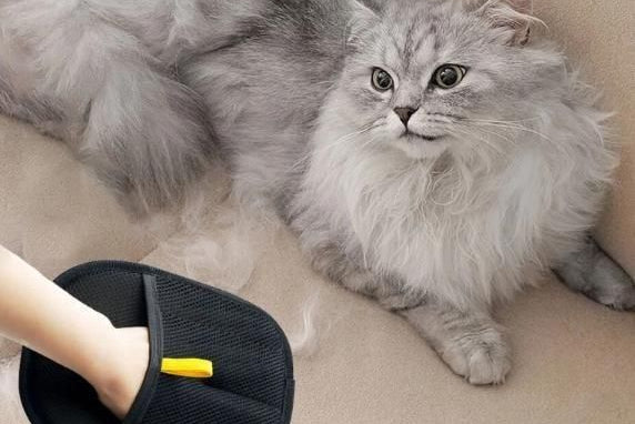 Pet Hair Removal Gloves (Pack of 2)